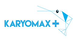 karyomax
