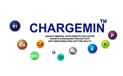 chargemin