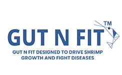 gutnfit