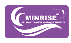 minrise
